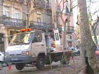JARDINERO 147  RIESGO LABORAL